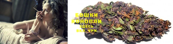 PSILOCYBIN Алексеевка