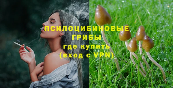 индика Семёнов