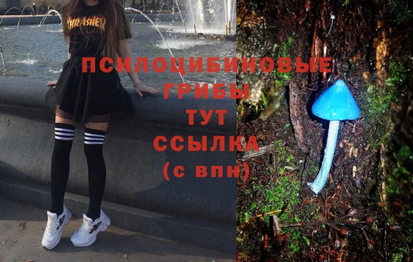 PSILOCYBIN Алексеевка