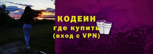 индика Семёнов