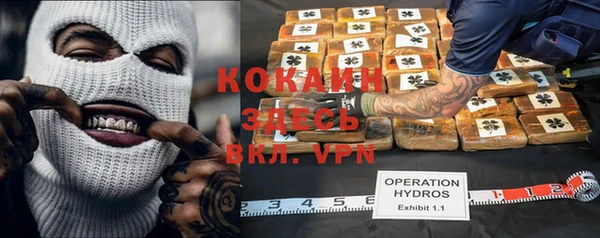 spice Алексин