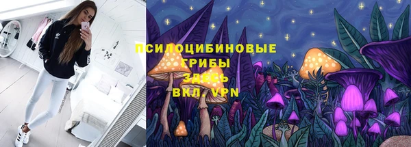 бошки Алзамай