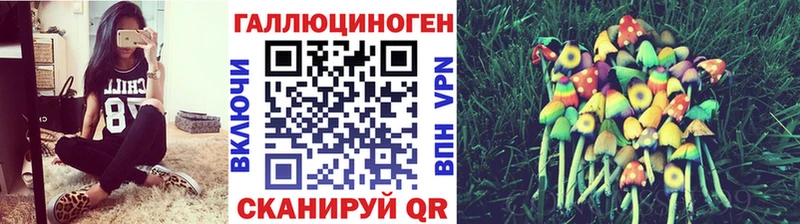 закладки  Ставрополь  Галлюциногенные грибы мухоморы 